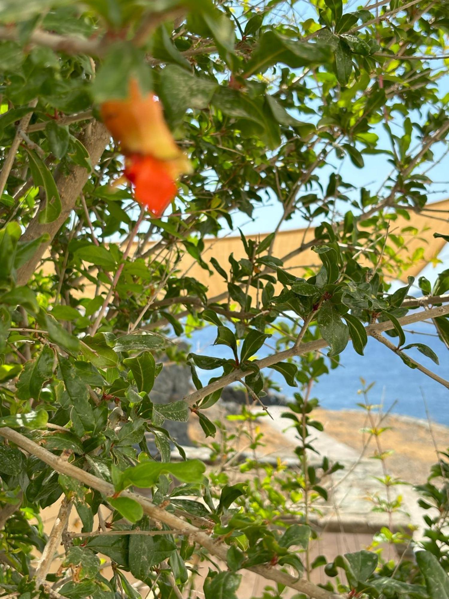 Almyra Yellow Villa Kythnos Luaran gambar